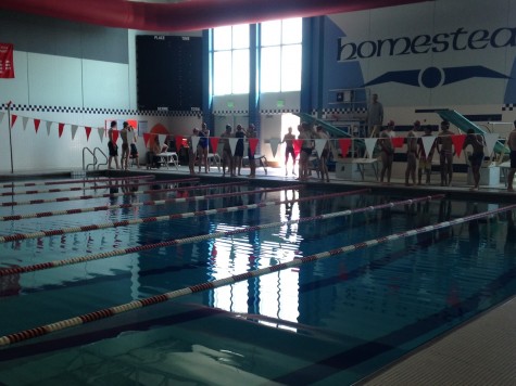 The students line up along the pool before the race starts.