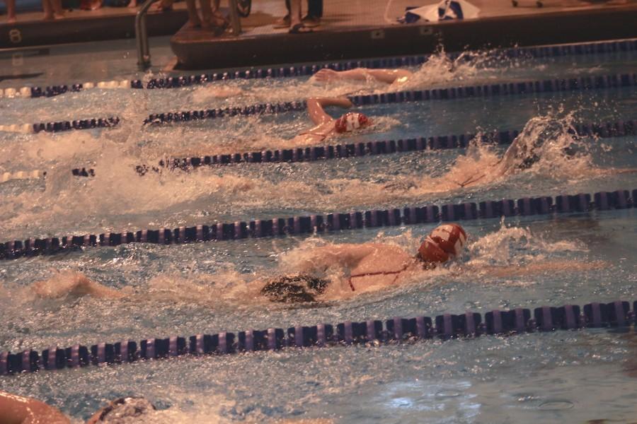 Homestead participants compete in the 100 freestyle and place first.