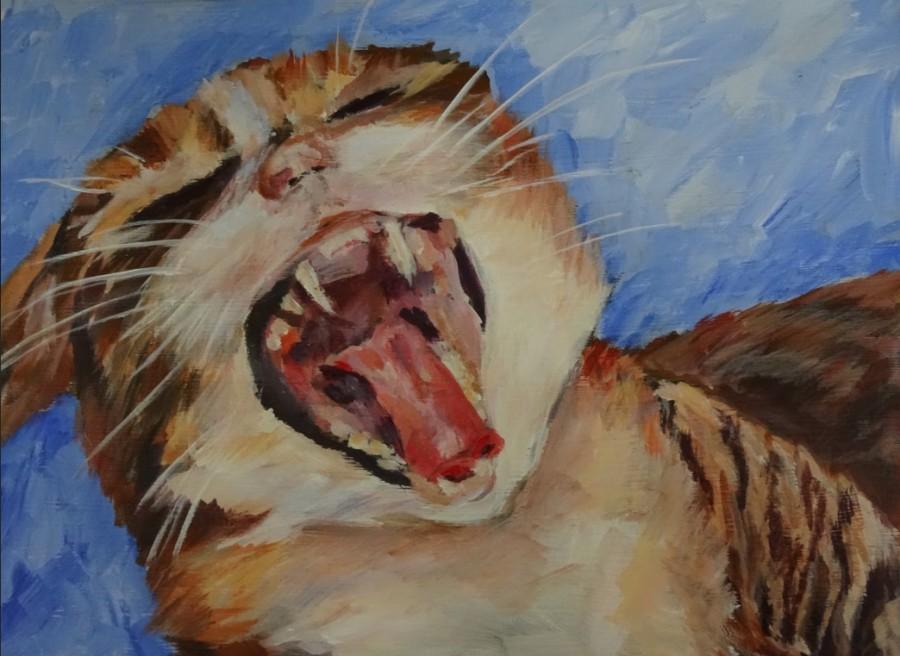 In this, Rolfs depicts a cat yawning. She uses bolder, thicker brush strokes in combination with the thinner whiskers to create a real juxtaposition. 