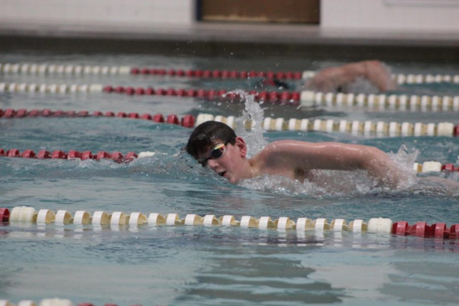 Drew Testin, freshman, swiftly swims freestyle during practice.