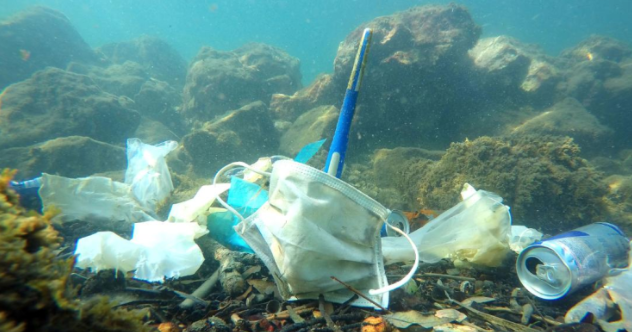 Despite the positive changes the pandemic has brought, severe plastic waste has been evident across worldwide waterways and habitats resulting from COVID-19 materials. 