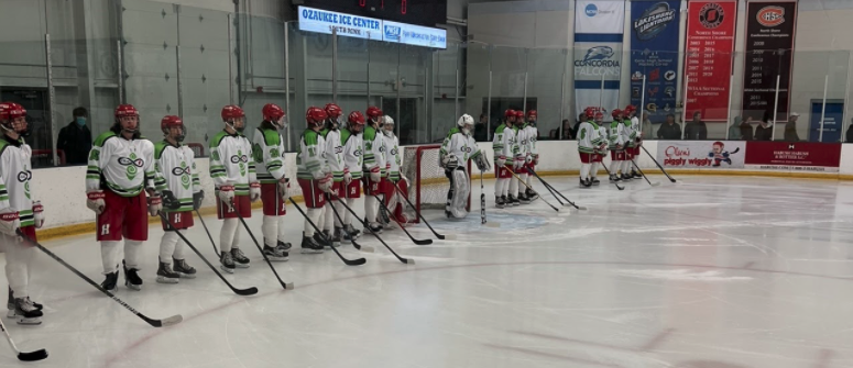 Homestead lines up on Jan. 4 for the Mental Health Awareness game against Cedarburg.