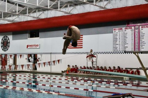 David Krol, senior, perfects his dive on the road to winning a state title.