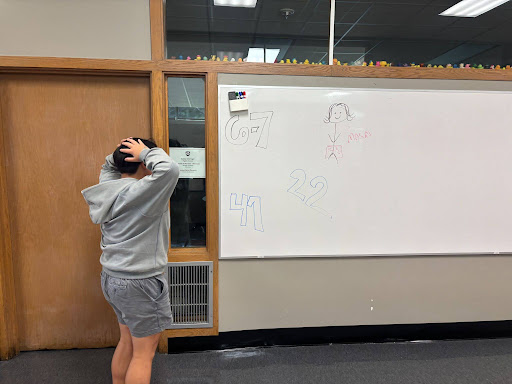 Humans of Homestead: Ellie Kuwabara